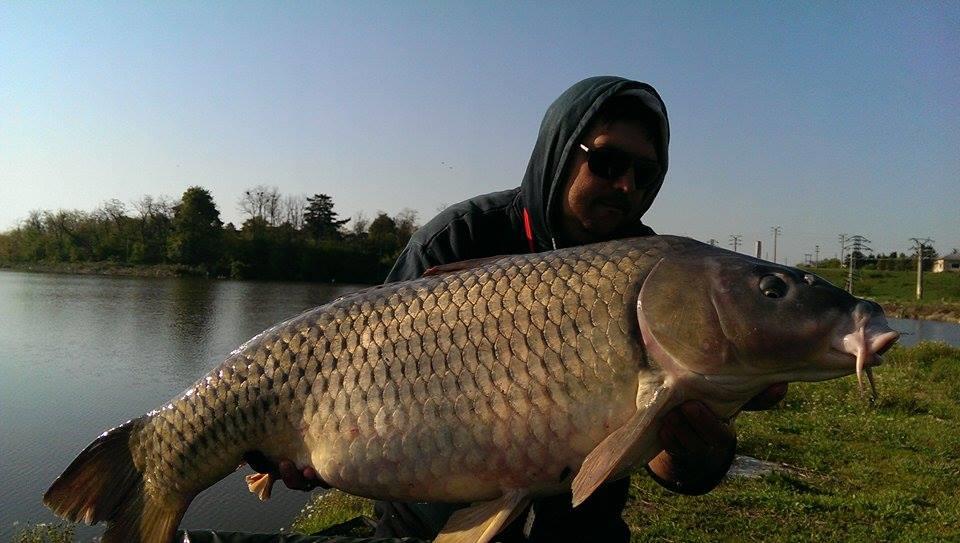 Hermes Peris 25 - 26 aprilie 2015 - 111215859912257542356481933510707n.jpg